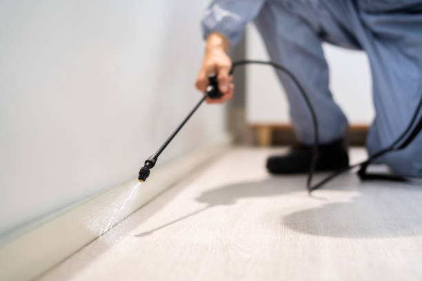 Licensed Wasp Control service in Peachtree Corners, GA - Nex Pest Control