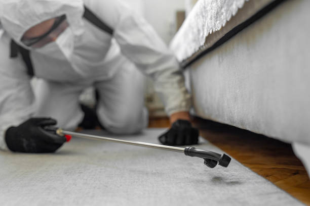 Professional Wasp Control technician working in Peachtree Corners, GA
