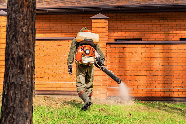 Trusted Ant Control service in Peachtree Corners, GA - Nex Pest Control